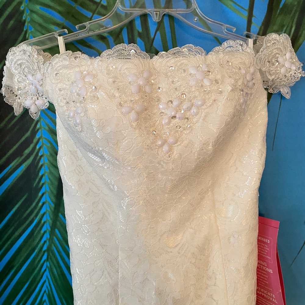 Mermaid lace style wedding dress
